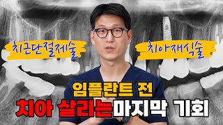 임플란트 전 치아 살리는 마지막 기회! 치근단절제술&치아재식술 같이 진행 한 케이스!