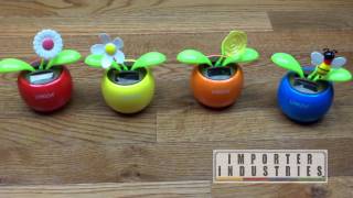 Adorable Solar Power Wizard Dancing Flower by Importer Industries