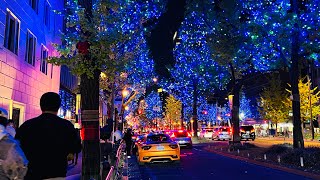 illumination festival 2022 in Osaka Walking At Night #osaka #japan #walking #nature. #illumination