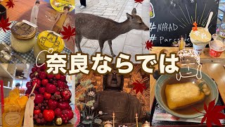 【旅行vlog】奈良ならではの楽しみ方