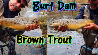 Burt Dam Brown Trout  - best bait  ? Jigs Beads or Bags