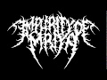 impurity of mriya the malevolent new song