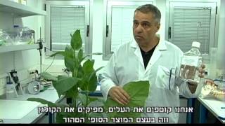 פרופ' עודד שוסיוב - ציון לשבח בפרס רה\