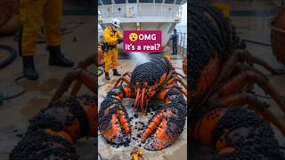 Giant Lobster's Life Was Saved in the Most AMAZING Way #lobsterrescue #animalrescue #cuteanimal