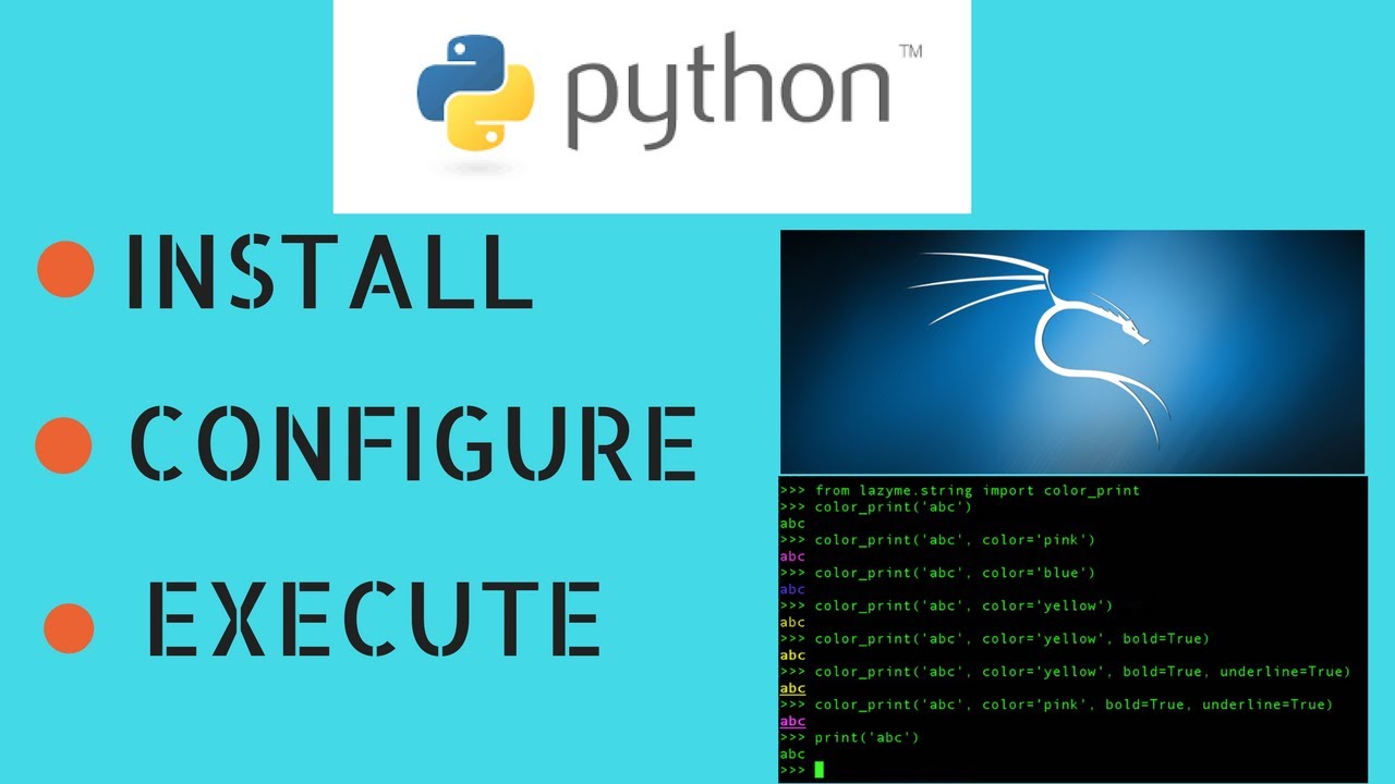 Python execute command