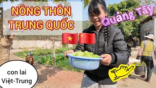 Cuộc sống của cô dâu Việt tại nhà chồng Nghèo Trung Quốc. số phận An bài