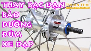 Thay bạc đạn, bảo dưỡng đạn đùm sau xe đạp đua, xe leo núi MTB