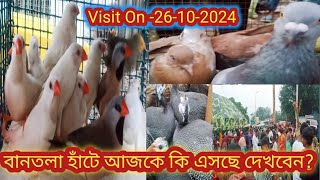 বানতলা বিদেশী পাখির হাঁট ভিডিও। Bantala Pet Market Price Update. Bantala Bird Market Price Video.