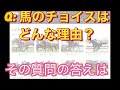 【nhkマイルカップ2023】お薦めの『勝負馬券』必見！