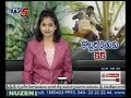 how to make coconut neera special report on coconut neera tv5 news