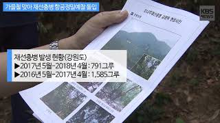 [KBS뉴스춘천] 가을철 맞아 재선충병 항공정밀예찰 돌입