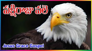 Pakshi Rajuvale || పక్షిరాజు వలె || #pastorpraveen || #jesusgracegospel