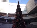 東京オペラシティのクリスマスツリー