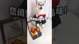 这猫竟然嫌我穷！看我给他上一课！ #猫咪的迷惑行为  #解压玩具