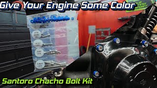 Santoro Fabworks Chacho Bolt Kit Install! Giving My Street Glide Some Color on the Engine!