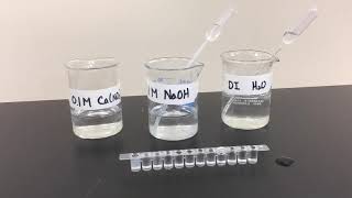 Adding Ca(NO3)2 to Diluted NaOH for Ksp Lab