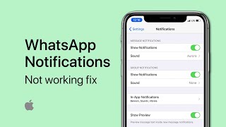WhatsApp Notifications Disabled or Not Working on iPhone Fix