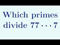 Primes Dividing 7777....7 | A Primer to Decimal Expansions