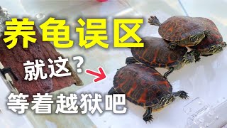 居然有人养龟敢这样放晒台？龟不怕摔坏吗