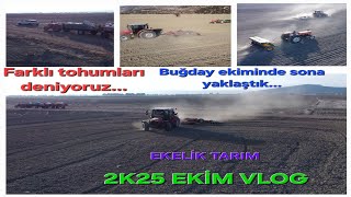 BUĞDAY EKİM SEZONU BİTİYOR FALADO VE OVİDİO TOHUMLARIMIZI TOPRAKLA BULUŞTURDUK VLOG2 30.11.2K24 4K60