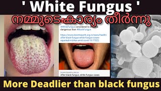 എന്താണ് വൈറ്റ് ഫംഗസ് ? what is white fungus ? malayalam | Don The Vlogger