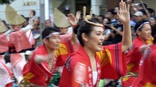 流し踊り「あかし連」第61回東京高円寺阿波おどり（2017.8.27）