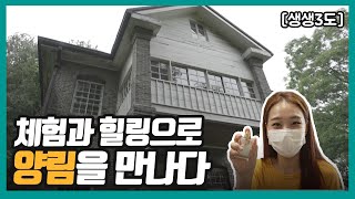 [생생3도] 체험과 힐링으로 양림을 만나다｜KBS 220826 방송