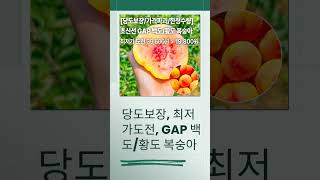 당도보장 백도/황도 복숭아, 곧 할인 종료