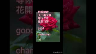 chan chan💖 完美好聲音♥️💯讚一個💯莫愁前路無知己💖天下無人不識君 💖 💖