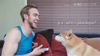 HUMAN-TO-DOG TRANSLATOR!! 😂😂