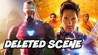 Ant-Man and The Wasp Deleted Scene - Avengers 4 Foreshadowing Explained