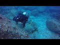 petting a titan trigger fish in mauritius