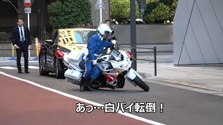 虎ノ門に天皇陛下がお出ましになり奉迎者感激!!お戻りになられる直前、護衛白バイ転倒のハプニング!!日本消防会館に石破総理や最高裁判所長官など要人が続々集結した一部始終!!