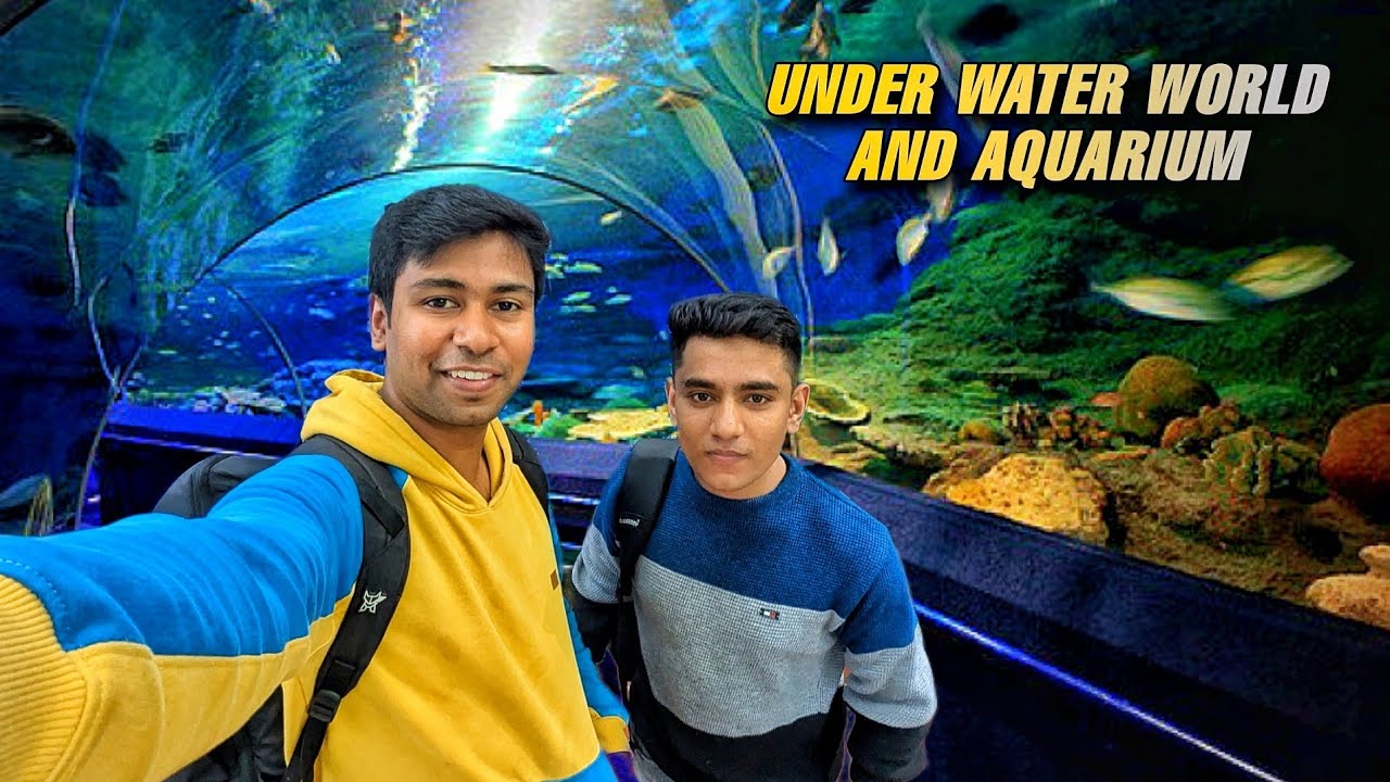 Is It Worth To Visit Namma Bengaluru Aquarium For 118 Rs/- See This ...