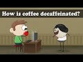 How is coffee decaffeinated? | #aumsum #kids #science #education #children