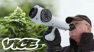 The Gadget That Measures How Strong Your Weed Smells