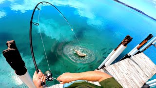 Big Fish Hiding Under This Small Jetty!!