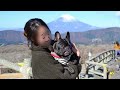 愛犬と箱根旅行まとめ