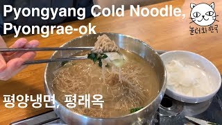 NORTH KOREAN FOOD EXPERIENCE | Pyongyang Cold Noodles (평양냉면) | Pyongrae-ok (평래옥) | Yeoui-do, Seoul