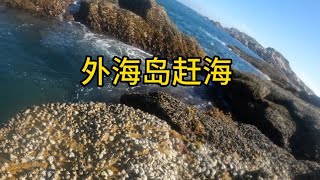 阿浩去外海岛赶海捡辣螺，外岛的资源环境超好，全是海胆和辣螺