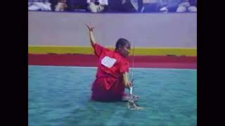 [1995] Li Shuhong 🇨🇳🥇Jianshu - 3rd World Wushu Championships