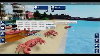 Robloxcrabrave Videos 9tubetv - 