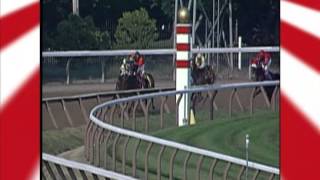 Saratoga 150 Feature: 2002 Test