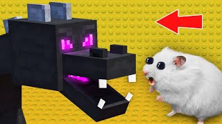 🐉 MINECRAFT DRAGON - Hamster Maze with Traps ☠️ [OBSTACLE COURSE]