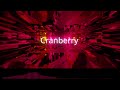 【東方アレンジ edm】cranberry【u.n.オーエンは彼女なのか un owen was her 】