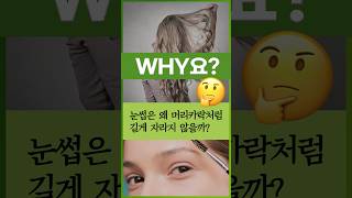 [Why요?] 머리카락의 평균 성장 기간은 8년…눈썹은? #shorts