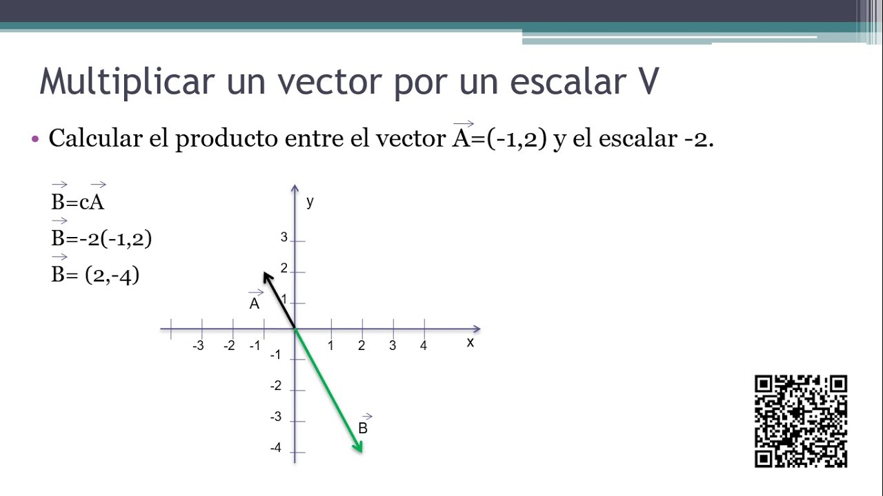 PRODUCTO DE UN VECTOR POR UN ESCALAR EJERCICIOS RESUELTOS N°5 ...