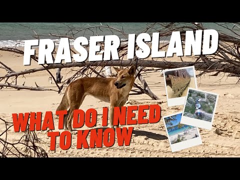 What is the cheapest way to get to Fraser Island?