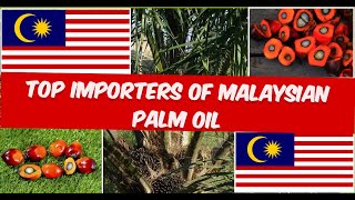 Countries: Top Importers of Malaysian Palm Oil, Top Export Destinations Revealed