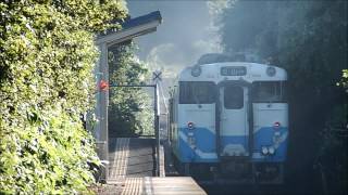 予讃線（海線）無人駅　高野川　キハ185・54・47・32